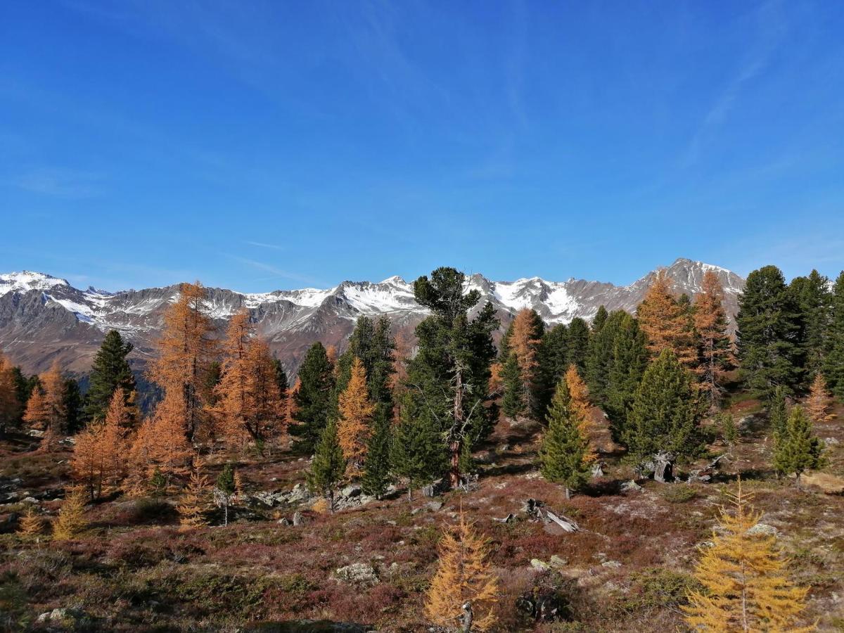 Mountain Alpine Apartment คัพเพิล ภายนอก รูปภาพ